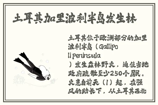 伽罗**ゃんが腿法是什么意思